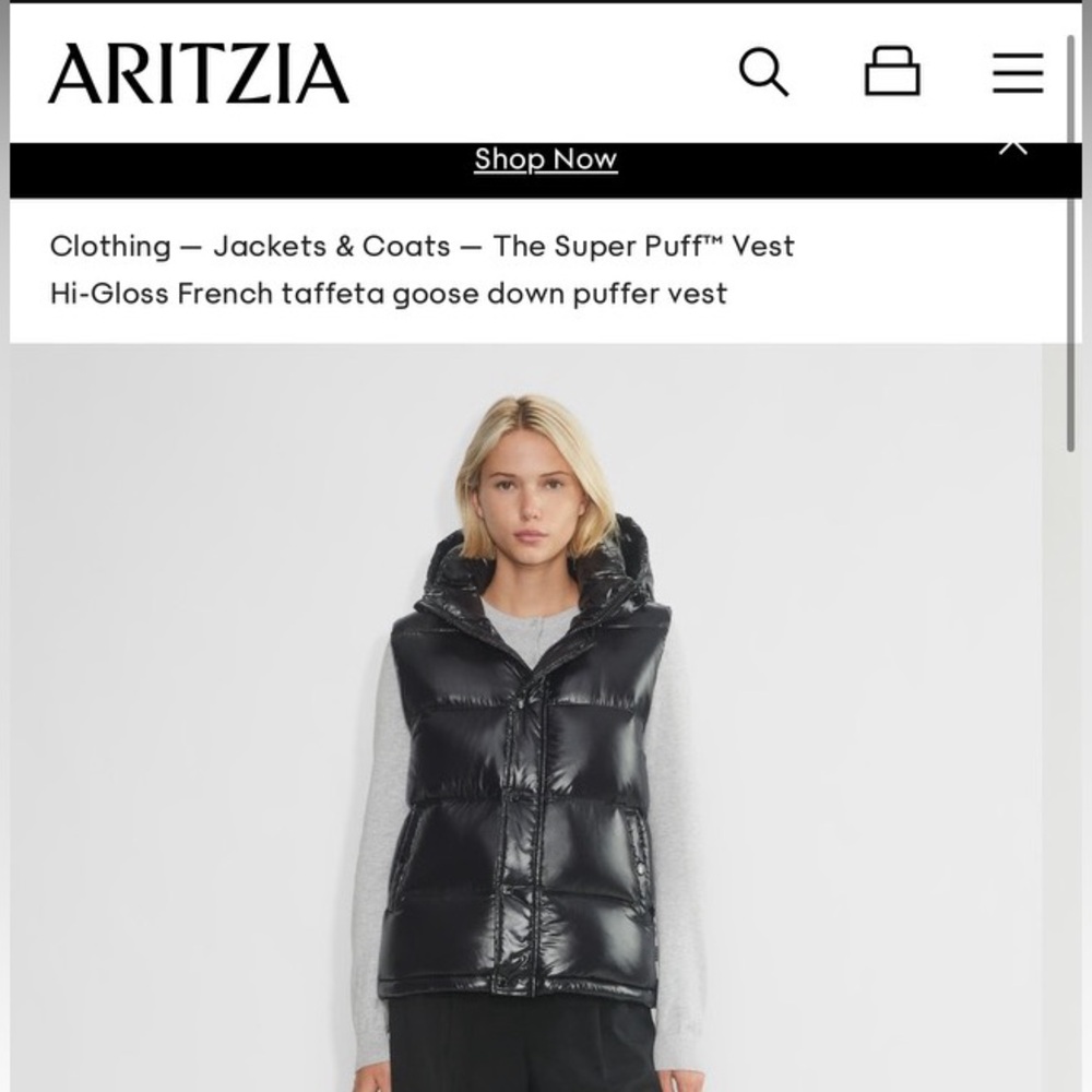ARITZIA SUPER PUFF VEST